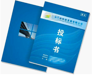 項(xiàng)目標(biāo)書(shū)翻譯多少錢，標(biāo)書(shū)翻譯公司報(bào)價(jià)